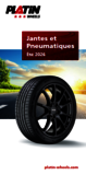 Flyer PLATIN